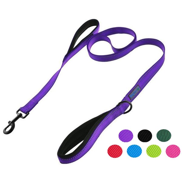 Wagtime Club Soft &Thick Dual Handle 6FT Dog Leash, Premium