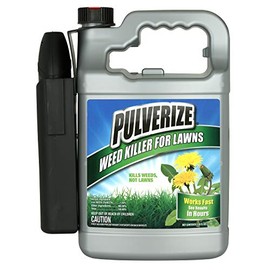 Weed Killer for Lawns Ready to Use