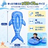 Float, Blue Whale, Children's Inflatable Surf Float, Water Play Toy,