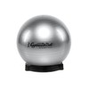 Original Pezzi Pezziball Standard 65 cm with Ball Bowl Combination