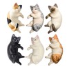 Cute 6 Pack Fun Cat Refrigerator Magnets Office Magnet Cute