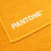 SWEET HOME Pantone™ Hand Towels Set 1+1 Consisting of Guest