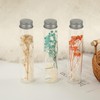 VEGCOO Plastic Test Tubes Sensory Bottle 110ml Clear Plastic Tube