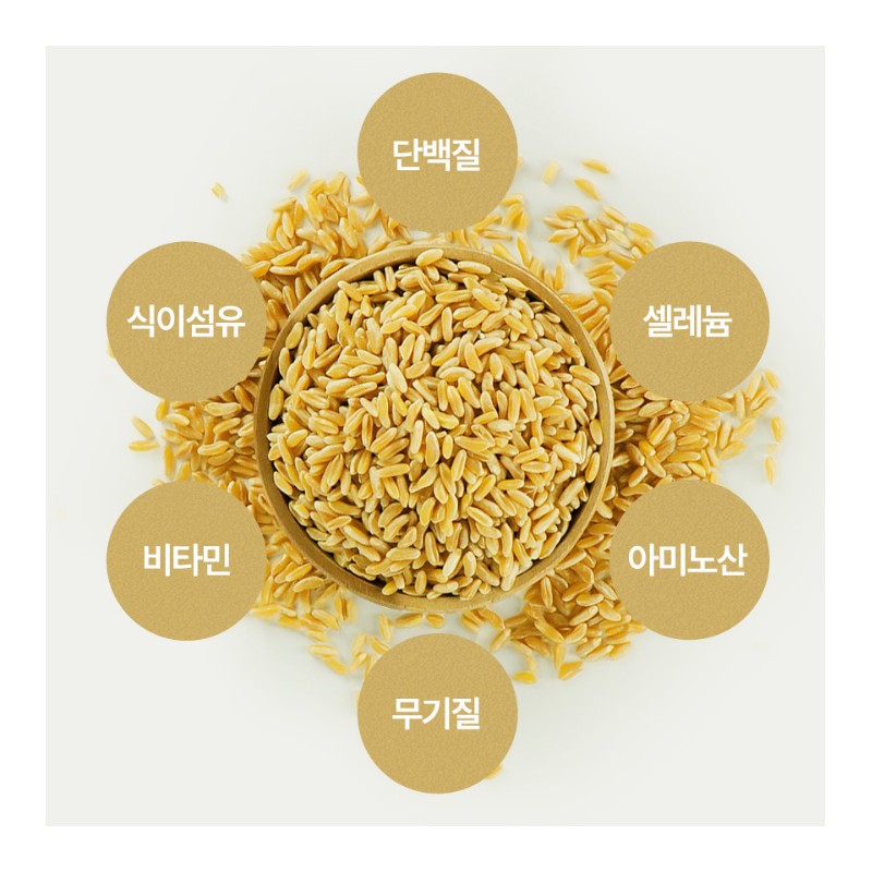 Kim So-hyung's studio Kamut Kamut Grain Digestive Enzyme 30 sachets