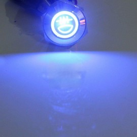 E Support 12V Car Vehicle Blue LED Light Rear Fog Push Button Toggle Switch 16mm