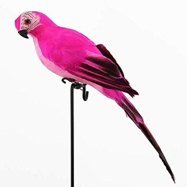 Feather Parrot Artificial Bird for Modern Home Garden Zoo Ornament Decoration Colorful 13.5inch(35cm), Rose