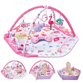 QPWOPNGAS Baby Gym Play Mat,9-in-1 Tummy Time Mat with Ball Pit & Detachable Toys,Washable Foldable Baby Activity Mat for Infants and Toddlers from 0-6-9-12 Months