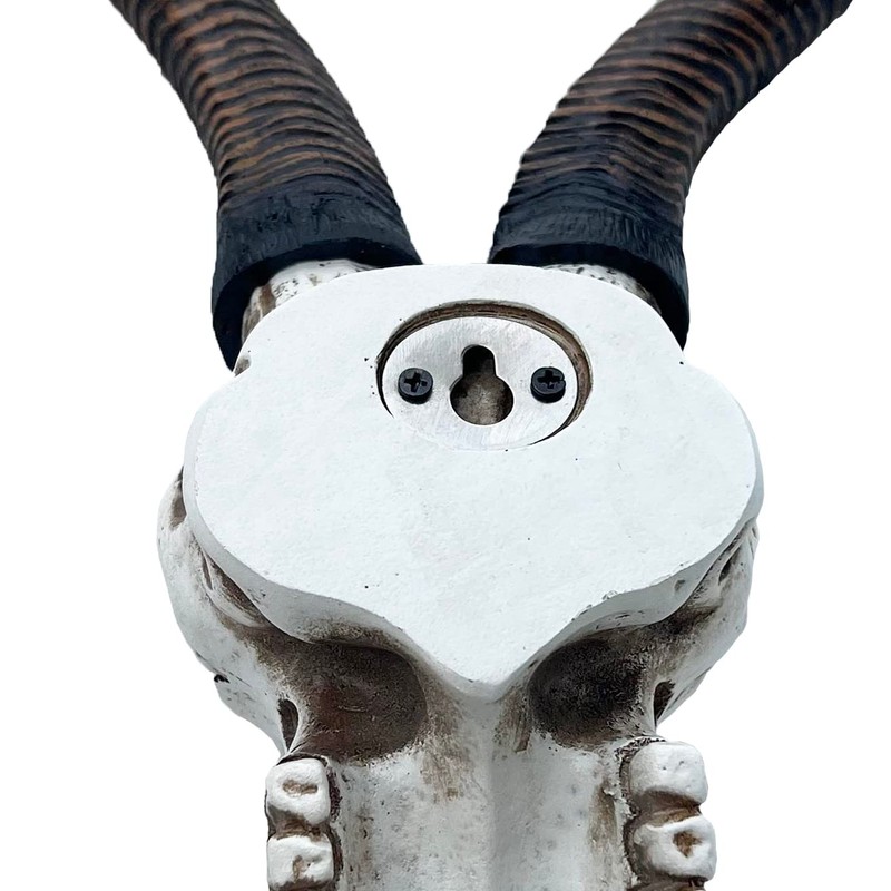 Top Brass 14 1/2" African Kudu Antelope Skull - Wall