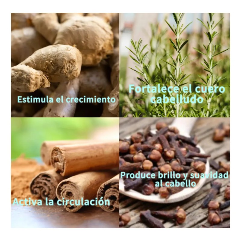 Shampoo Crecimiento Anticaida Raíz Serena | Romero Jengibre