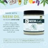 Naked Neem Organic Neem Butter with Organic Neem Oil, Extract