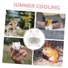 Gatuida Guinea Pig Hideout Hideaway Ceramic Hamster House Cooling Hut