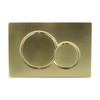 VALLVATER Dual-Flush Actuator Plate Compatible with Geberit 115.770.46.6, Brushed Gold