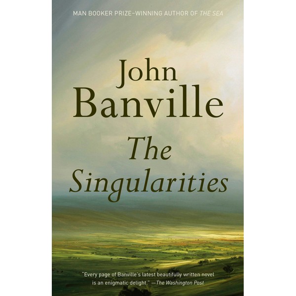 The Singularities: A novel