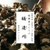 【純国産】樋遣川きくらげ 内容量100g パウダー 粉末 木耳 無農薬 贈答品 ギフト