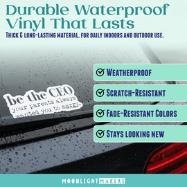 Funny Die Cut Bumper Stickers, Car Art, Bike Vinyl, Weatherproof (I Make Pour Decisions)