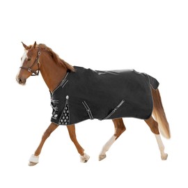 Equinavia Norse 200g Medium Weight Horse Blanket | Waterproof Winter Turnout - Black - 66 in - Black - 84 in