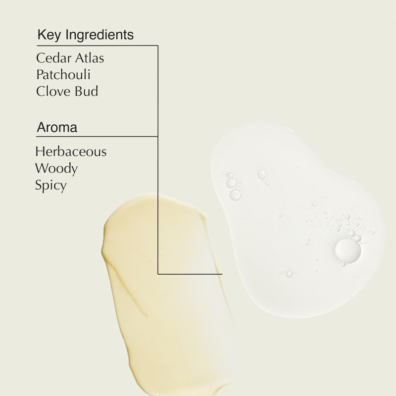 Aesop Geranium Leaf Body Cleanser & Balm Set | Green,