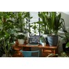 elho Brussels Round 14 - Flower Pot for Indoor -