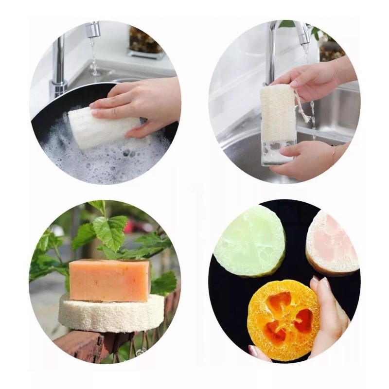 pisdoplop Esponja Exfoliante Natural De 4 Pulgadas Para El Cuidado