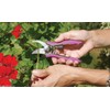 Dramm ColorPoint Stainless Steel Compact Garden Pruning Shears, Hand Pruner,