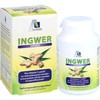 INGWER 500 mg Kapseln+Vitamin B1+C 90 St
