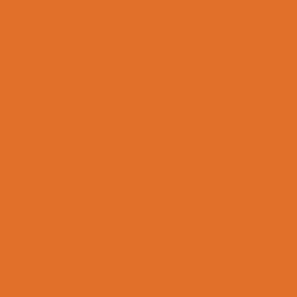Rust-Oleum 314753 Painter's Touch 2X Ultra Cover, 12 Oz, Satin Rustic Orange