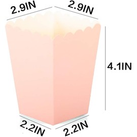 We Moment Zone 24pcs Pink Popcorn Boxes Mini Paper Popcorn Containers for Party