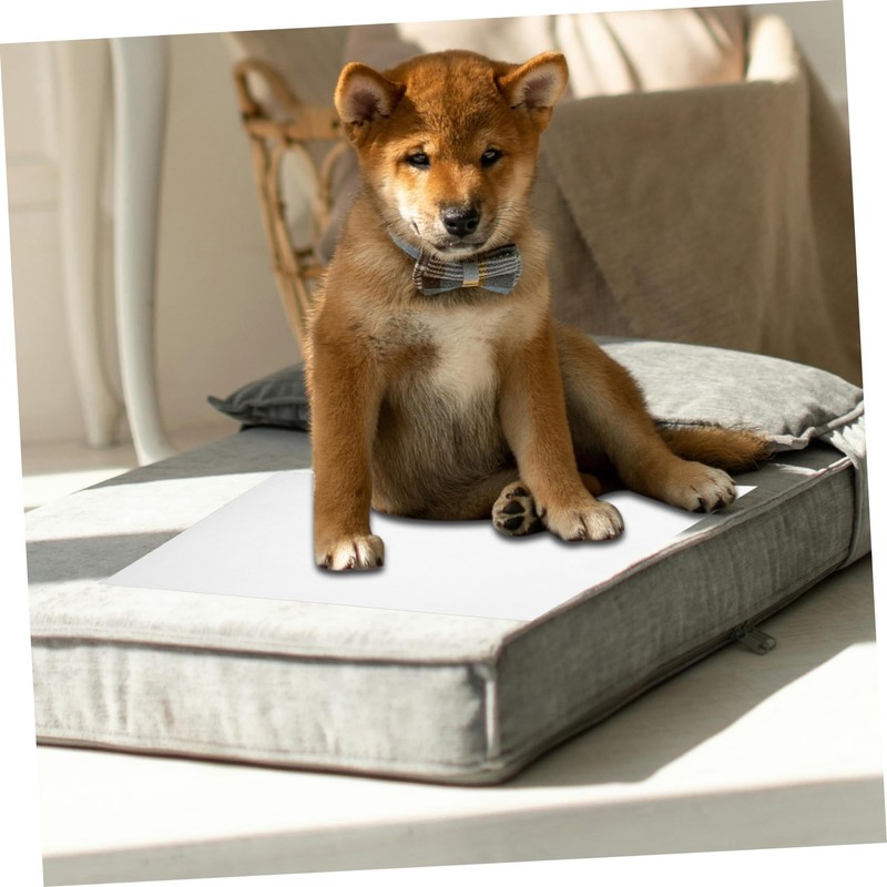 WOONEKY 50pcs Dog Pee Pads Absorbent Disposable Training Sheets for