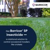 Bayer Barricor SP - 32oz Insecticide
