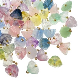 Boranran 50pcs Lotus Seed Pod Glass Pendant Charms, Multicolor Botanical Drops (10x11mm)