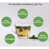 Premium Natural Mulberry Leaf Tea 9 Oz/254.7g, 桑叶茶 Loose Leaf