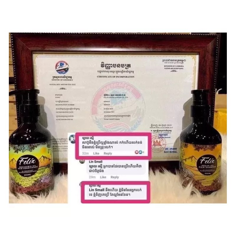 Felix Argan Oil Hair Shampoo សាប៊ូកក់សក់ហ្វ