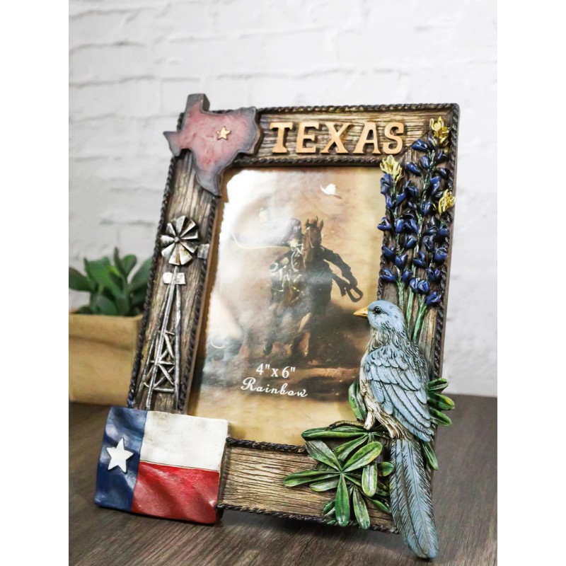Ebros Gift Rustic Western Patriotic Texas Mockingbird Windmill Bluebonnets Picture