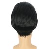 Adult Short Mens Black 70s80s Rocker Wig Anime Wig