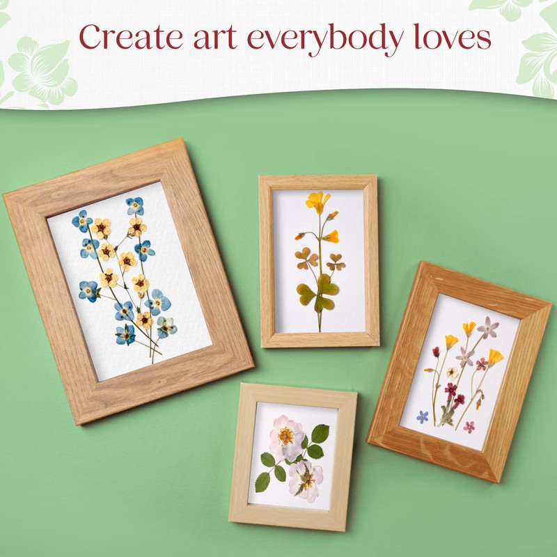 Blotting Paper for Flower Press • Large A4 Flower Press