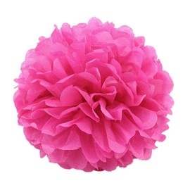 JZK® Paper Flower Balls Fan Lantern Honeycomb Decoration Wedding Baptism Birthday Party etc.