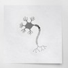 Transparent Decal Stickers Of Nerve Cell Neuron Brain 1 (Metallic