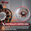 WOOSTAR 12 Coil 5 Wire Magneto Stator Replacement for Hyosung