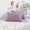 NTBAY 2 Pack Tiny Pillows, 11"x7" Microfiber Mini Pillows for