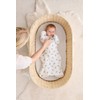 Love to Dream Swaddle UP, Baby Sleep Sack, Self-Soothing Swaddles