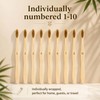 TIKITAKA FTG Boar Bristle Bamboo Toothbrush 10 Pack Plastic Free