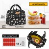 HOMESPON Insulated Lunch Bag Lunch Box Cooler Tote Box Cooler
