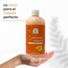 Acondicionador De Placenta Vegetal Productos Mart Mexico 500 Ml