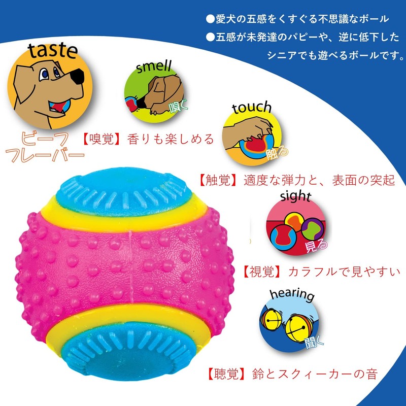 PLATZ PET SUPPLISE&FUN Dog Toy, Sensory Ball, Medium Size