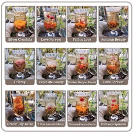 Botanical Flowering Gourmet Tea - 12 Unique Varieties of Fresh Blooming Tea Flowers - Hand-Tied Natural Herbal Tea Leaves & Edible Flowers - 12-Pack Gift Canister - 36 Steeps, Makes 250 Cups