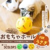 Wezomito Bunny Toy Ball Snack Ball Pet Slow Feeder Relieves
