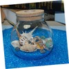 DOITOOL 1pack Natural Shell Conch Fish Tank Landscaping DIY Craft