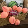 Peach String Lights,Peach Decor Night Light Battery Powered Pink Peach
