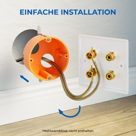 deleyCON Set of 2 Multimedia Speaker Boxes Wall Socket Wall Plate with Banana Plug Sockets for 2 Speakers (Red/Black) for Hi-Fi Surround Sound System Home Cinema Set of 2