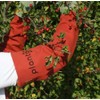 planto Armschützer Armschoner aus Canvas Dornenschutzhandschuhe sicherer Schutz gegen Dornen